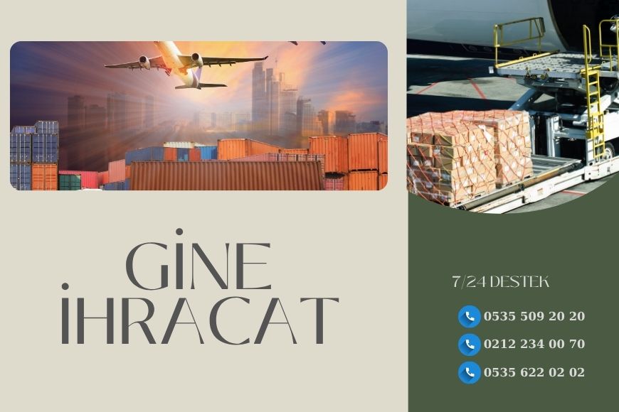 Gine İhracat