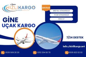 Gine Uçak Kargo